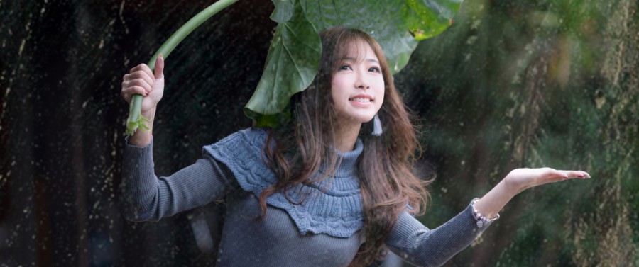 青青青青青草种植与养护庭院草坪选择的实际考量